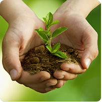 Environmental Balance