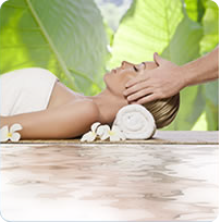 Spa Wellness