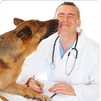 Veterinary Health